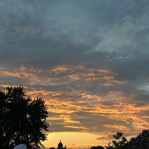 Meet your Posher, Emilia